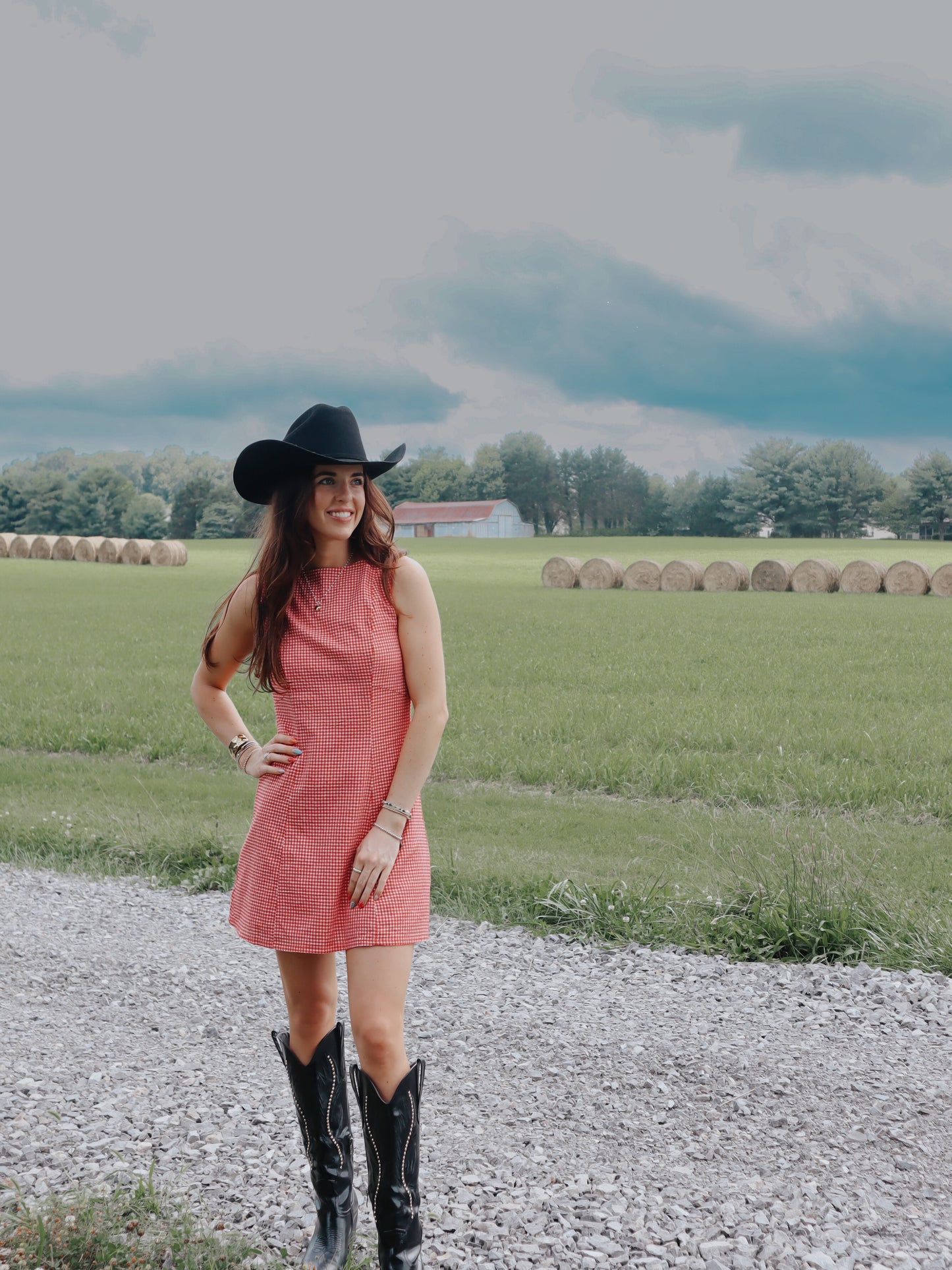 red gingham fit and flare mini dress