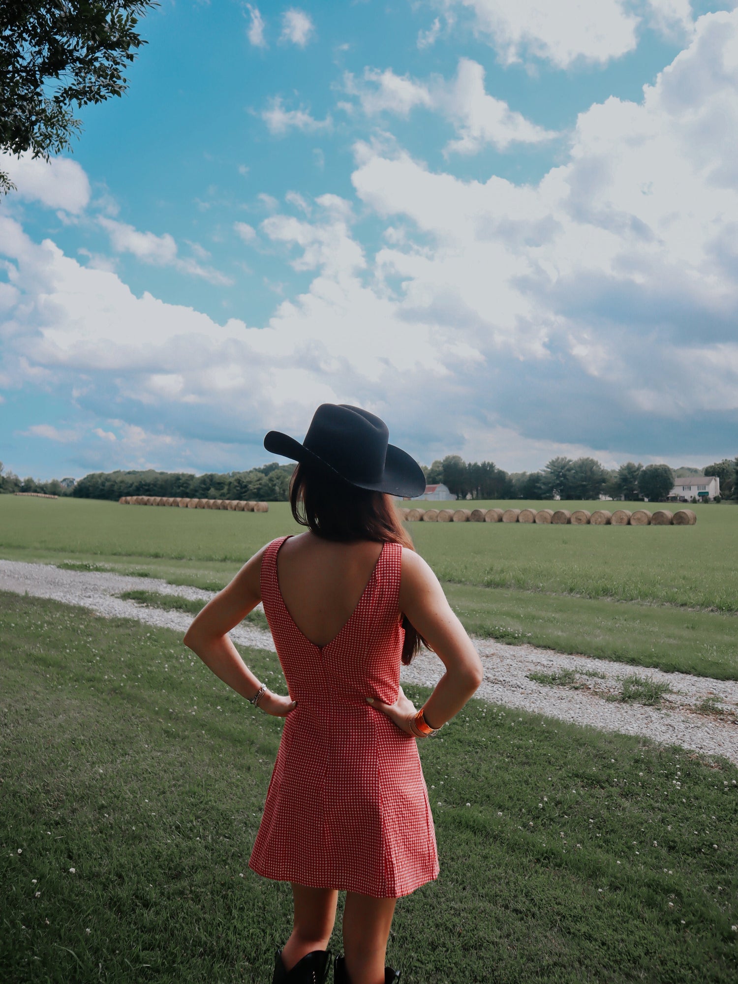 The Americana Collection